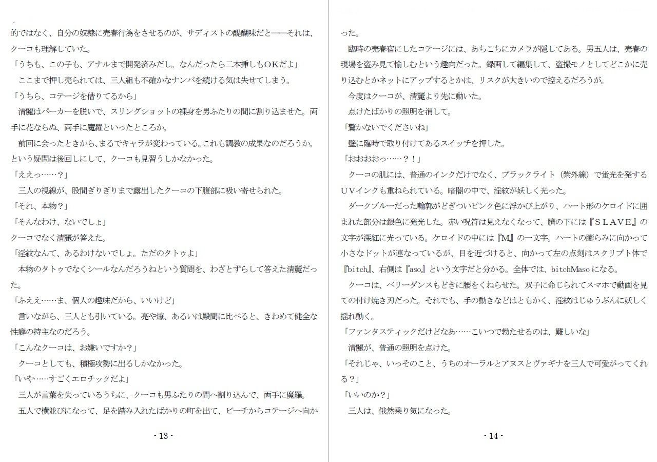 800万円のDVR:3惨虐搾取編