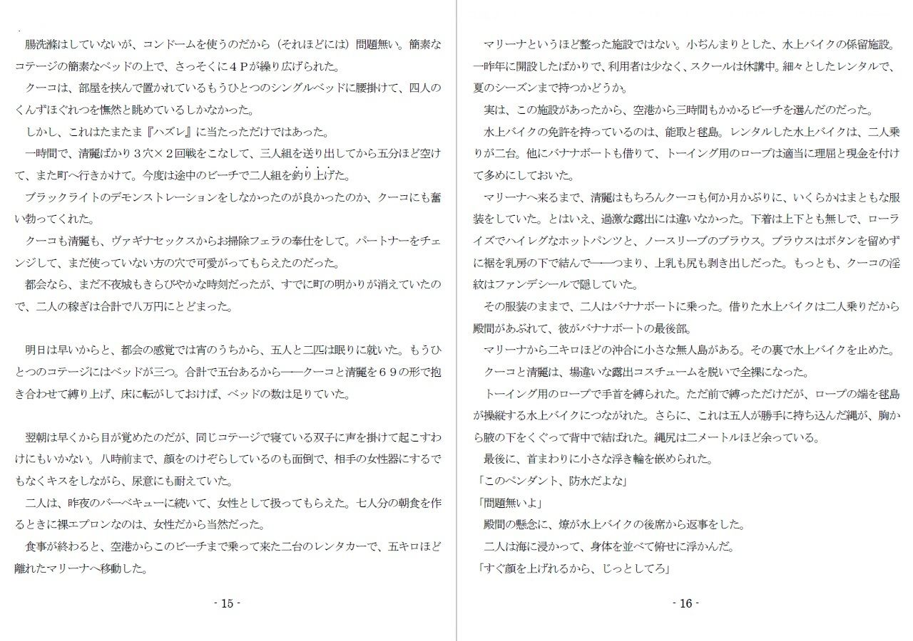 800万円のDVR:3惨虐搾取編