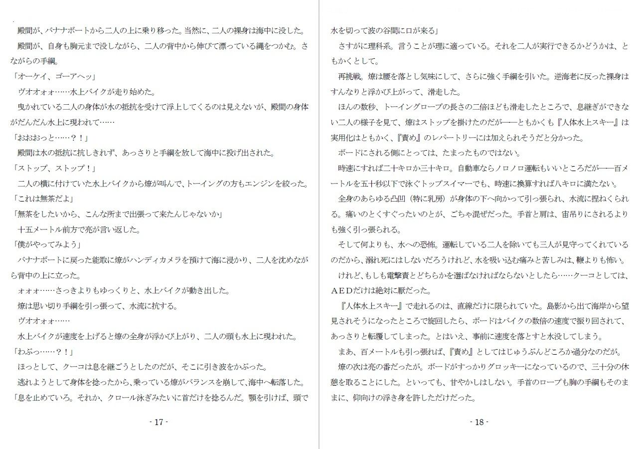 800万円のDVR:3惨虐搾取編