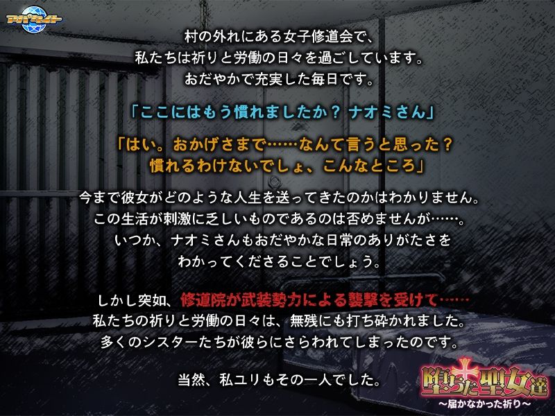 堕ちた聖女達〜届かなかった祈り〜
