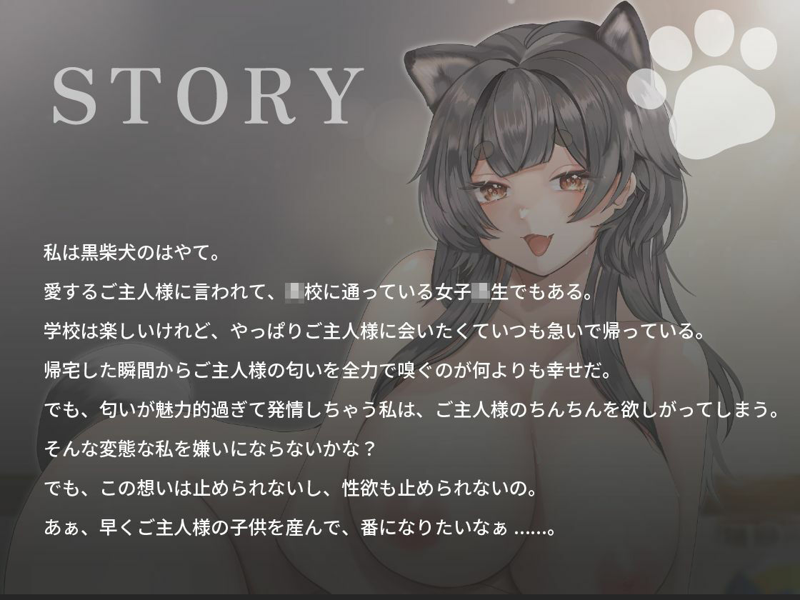 クール系黒柴犬JKはご主人様とあまあま孕ませ交尾をしたい【けもみみ/巨乳/中出し】
