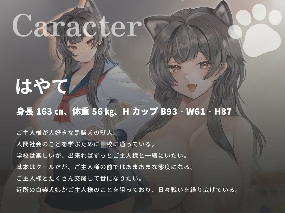 クール系黒柴犬JKはご主人様とあまあま孕ませ交尾をしたい【けもみみ/巨乳/中出し】