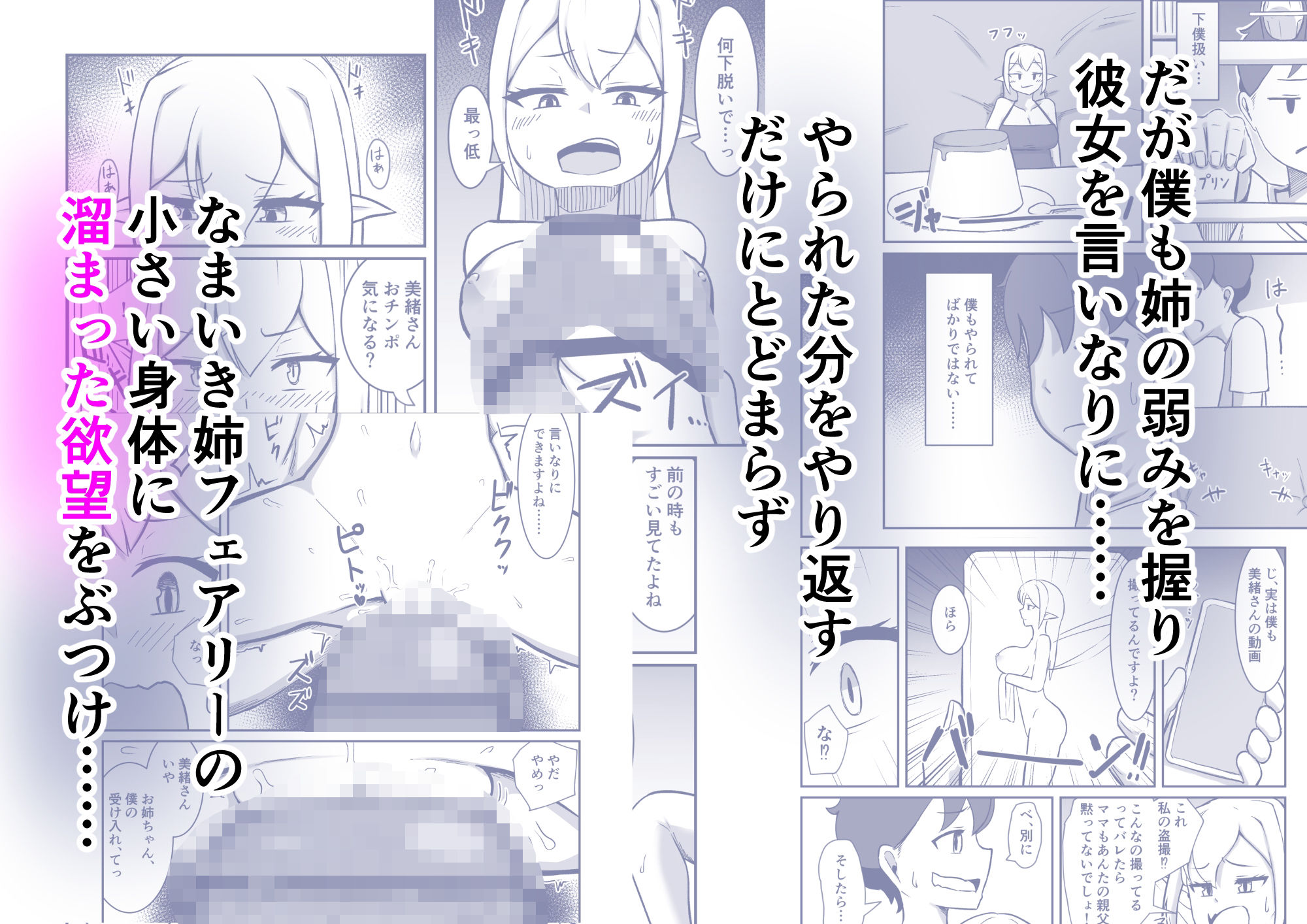 フェアリー族のお姉ちゃんは僕の専用オナホ妖精