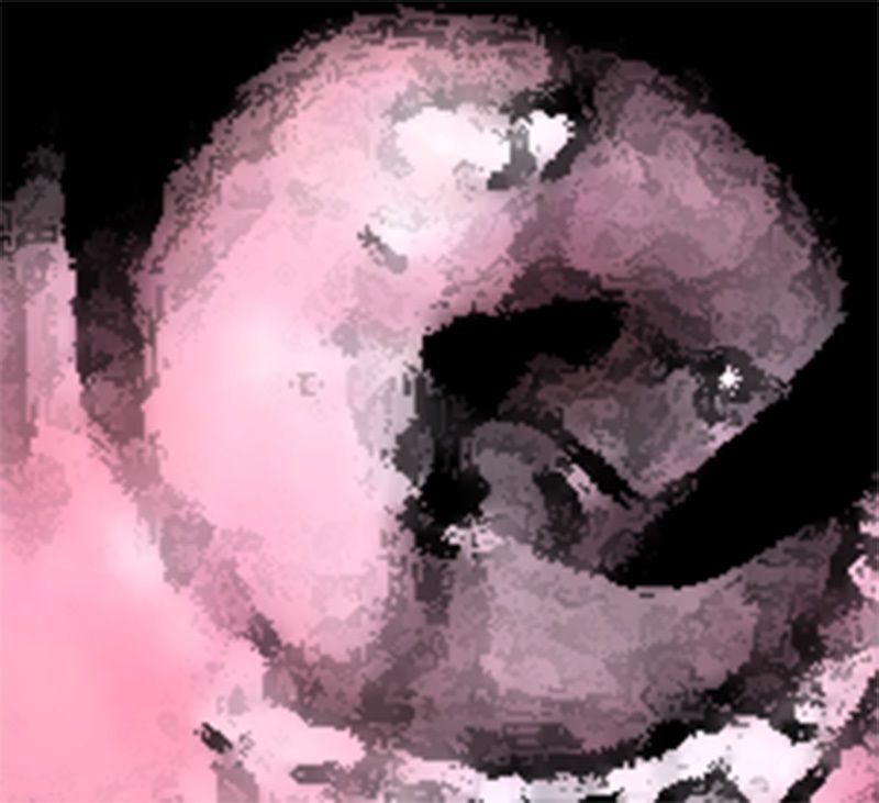 わたしの蟲姦遊び 第11話 妊娠中、子宮口にゴキブリを入れる編 音声（ASMR）