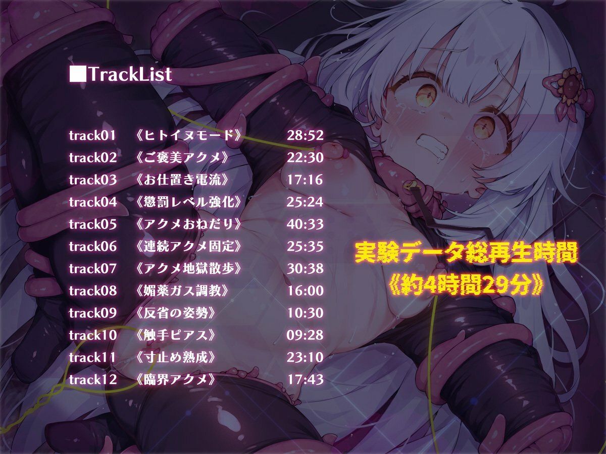 絶対服従プログラムV 実験体4098 〜ヒトイヌ拘束服従訓練〜