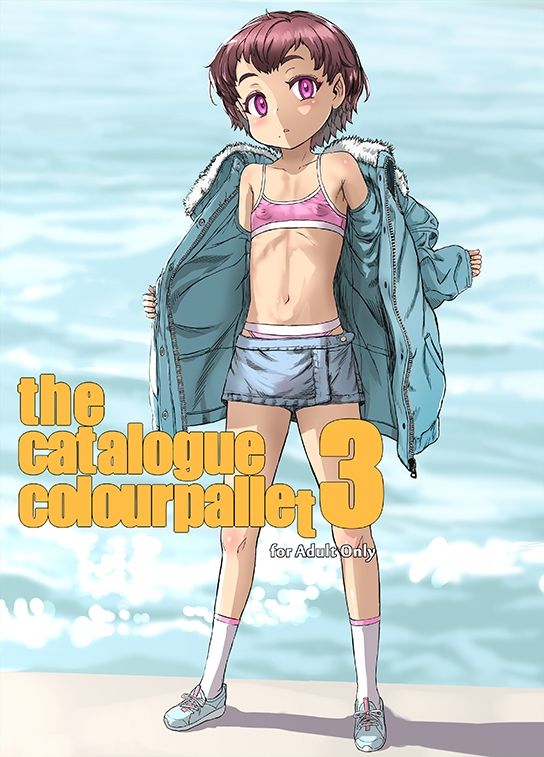 the catalogue colourpallet3