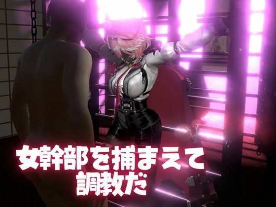 Vtuber鷹嶺ルイを調教してメスということを分からせる動画パック「Takane Lui」