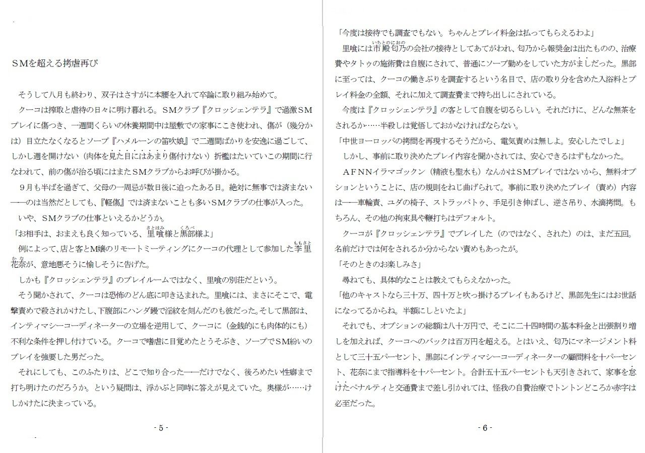 800万円のDVR:4弄辱処分編