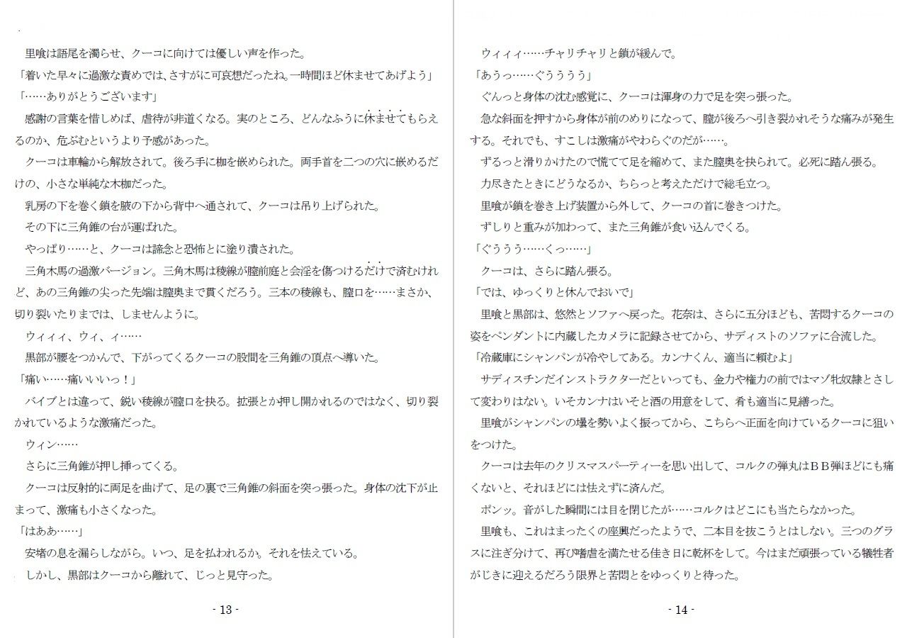 800万円のDVR:4弄辱処分編