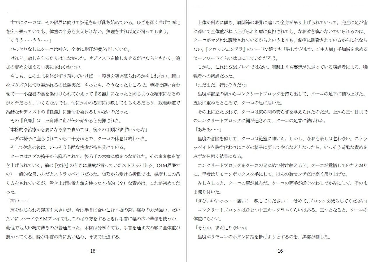 800万円のDVR:4弄辱処分編