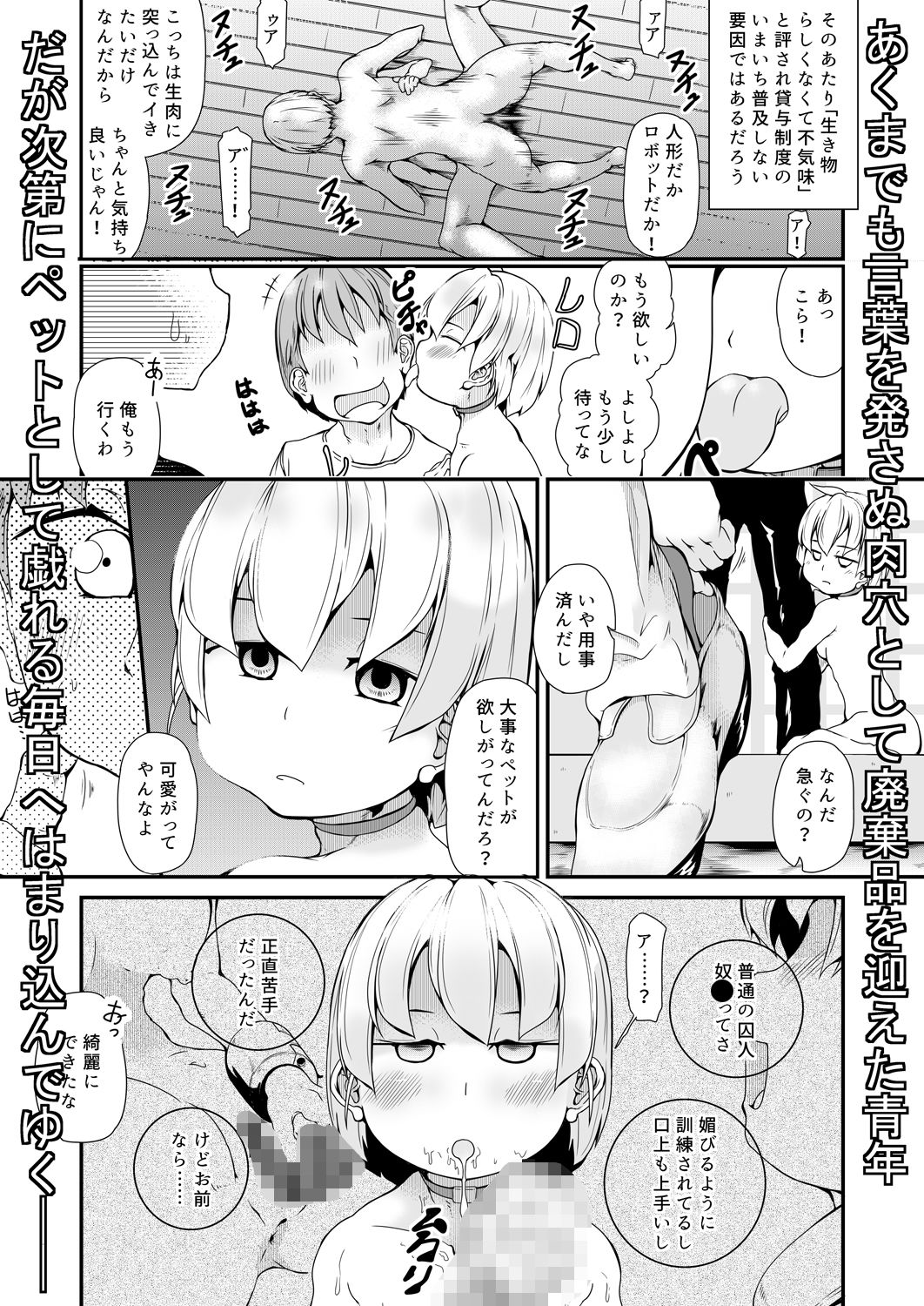 少女収監史*.1 -廃棄品52号のアイ-