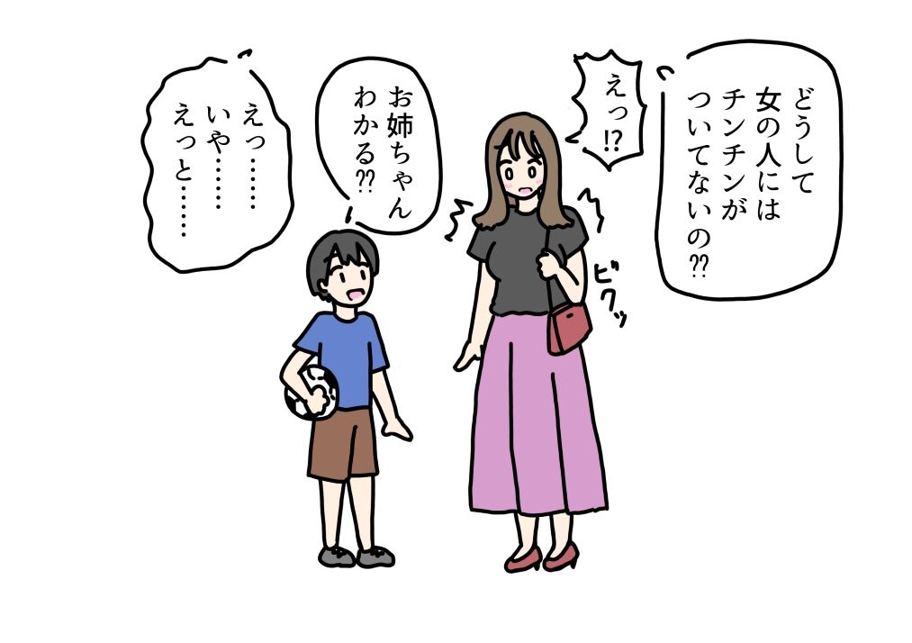 大学生のお姉ちゃんにどうして女の子はチンチンついてないのか聞いてみた話