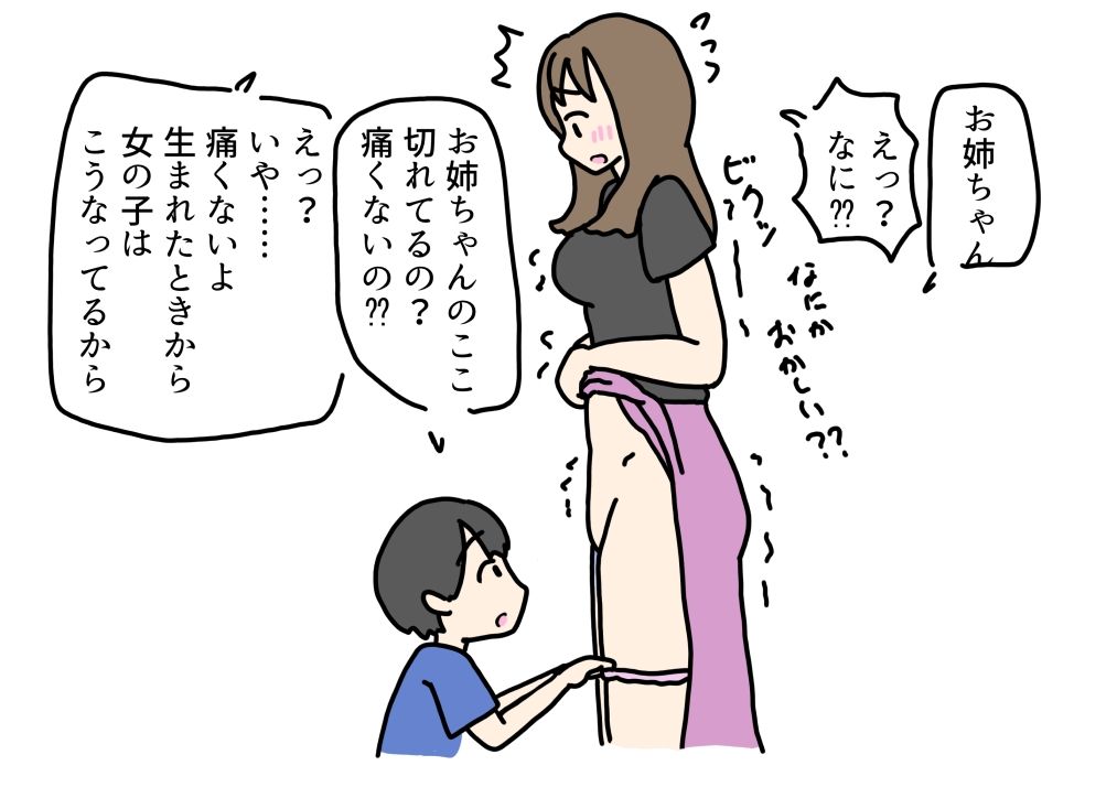 大学生のお姉ちゃんにどうして女の子はチンチンついてないのか聞いてみた話