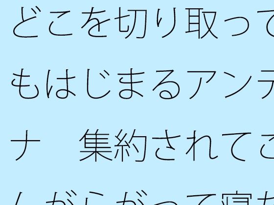 どこを切り取ってもはじまるアンテナ 集約されてこんがらがって寝た昨夜から朝