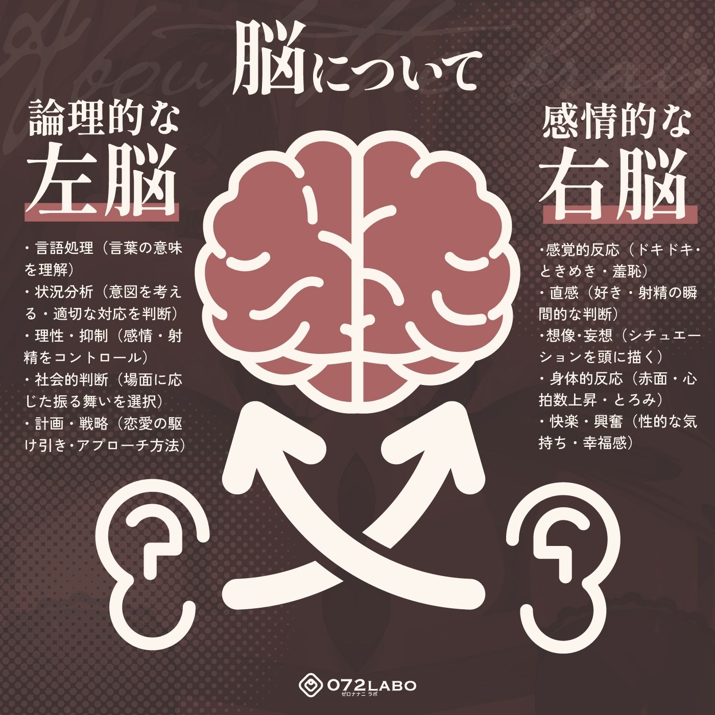 【脳バグ】命令の右耳とドスケベ本心が聞こえる左耳「右耳左耳右脳左脳」〜とても厳しい射精管理官★低音ボイスお姉さんの本音〜【射精管理官の本音】