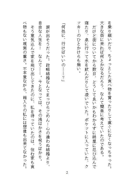 性拷問器具を作るイケメン武器屋に拾われた男爵令嬢、毎夜ごとの地下室で連続絶頂を繰り返し快楽に堕ち壊されていく