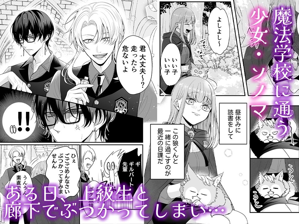魔法学校の狼くんと媚薬えっちで強●番にされました