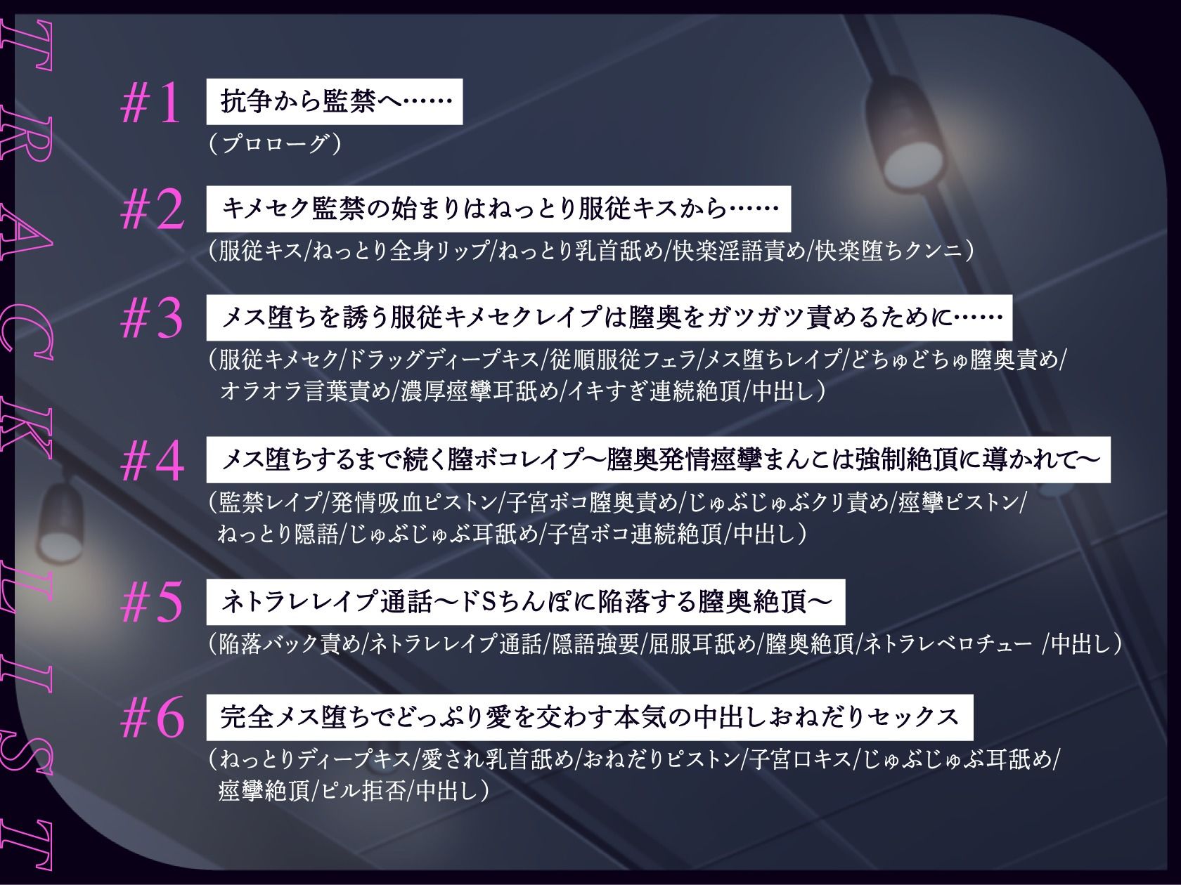 キメセク服従監禁ネトラレレ○プ〜アナタがメス堕ちするまで続く、ドS膣ボコ陥落セックス〜