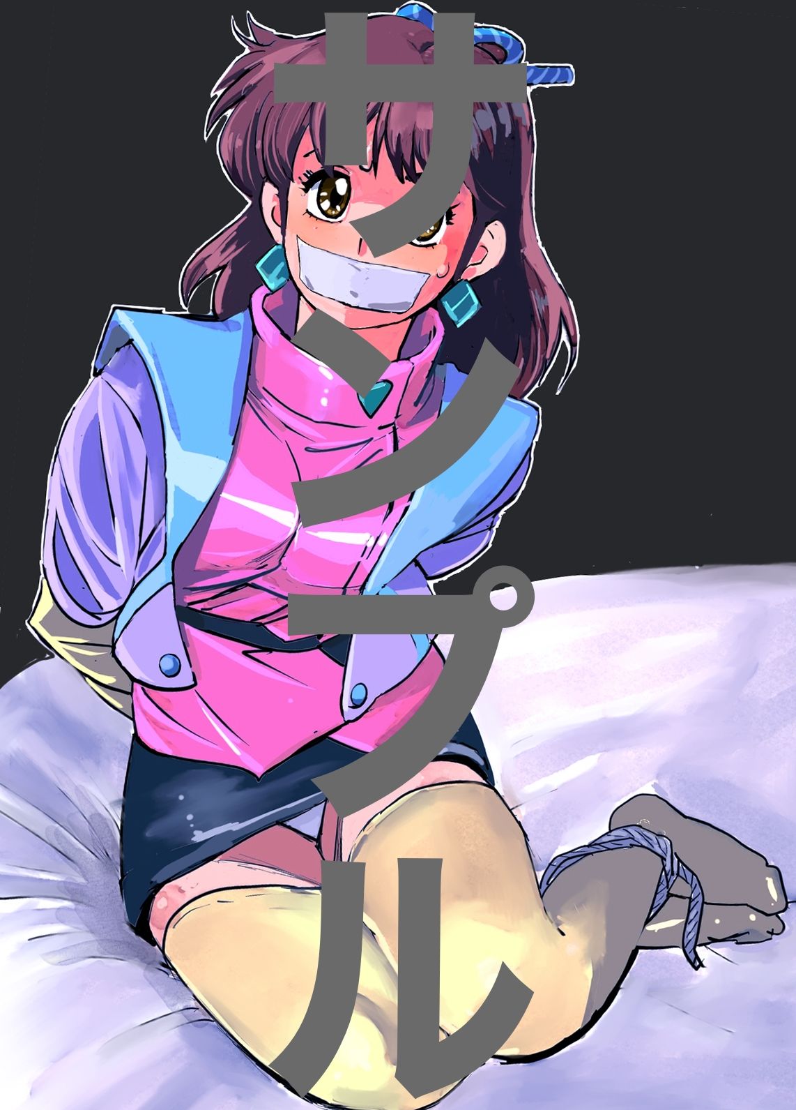 20世紀アニメキャラSM緊縛画集2