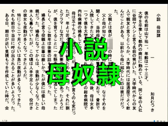 小説版 母奴●