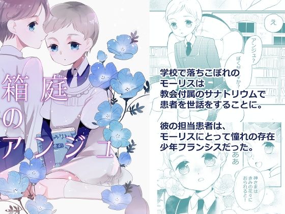 箱庭のアンジュ