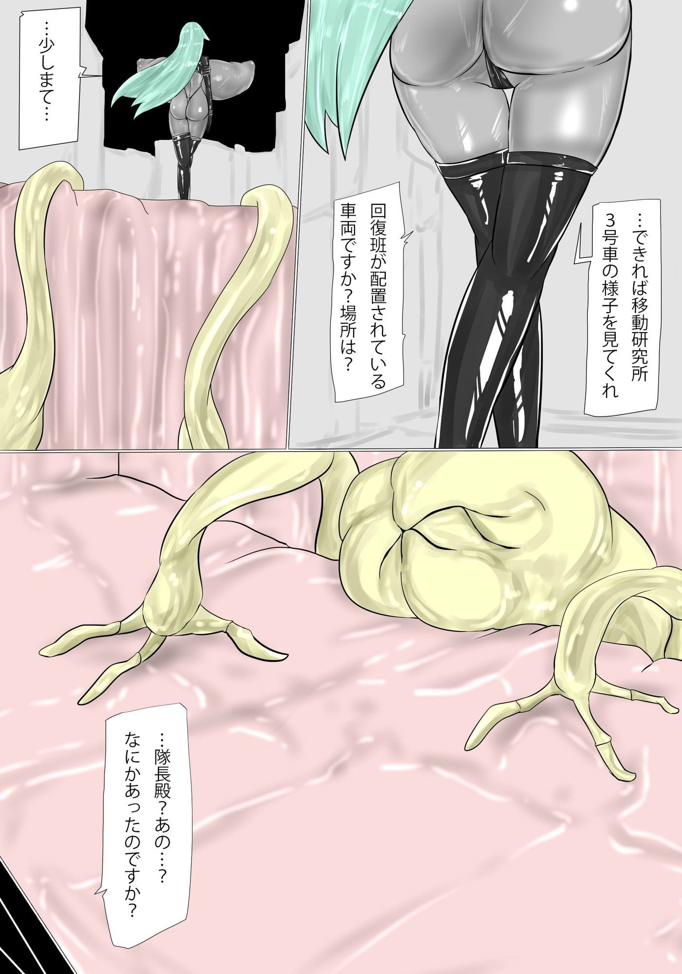 ゼルカトイからの報告書より