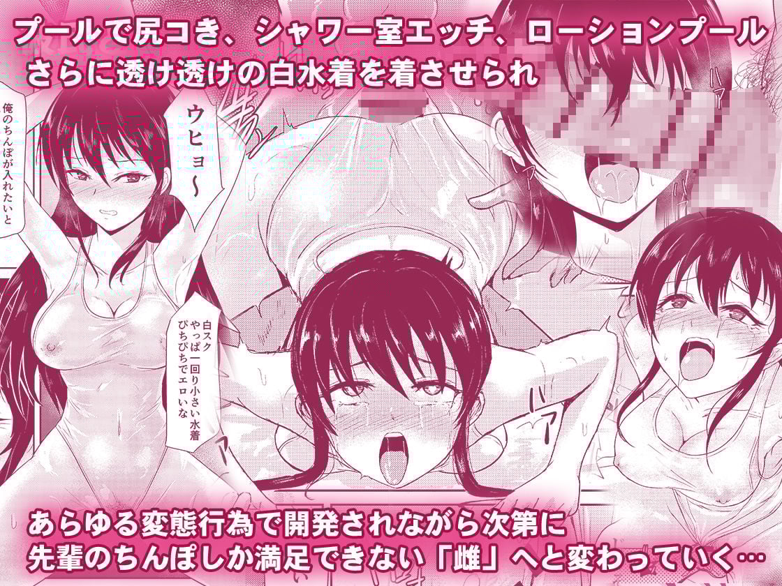 水泳インストラクターの清楚な彼女がバイト先で寝取られるまで…