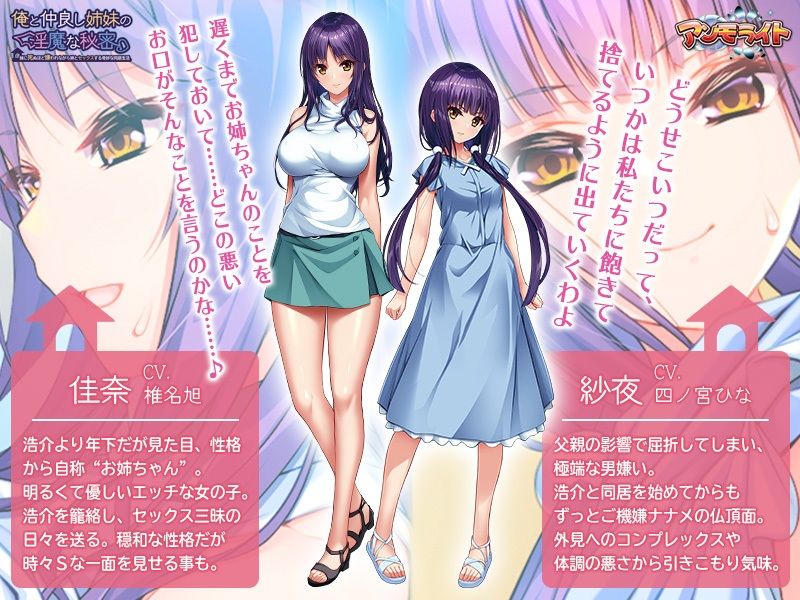 俺と仲良し姉妹の淫魔な秘密〜妹に死ぬほど嫌われながら姉とセックスする奇妙な同居生活〜