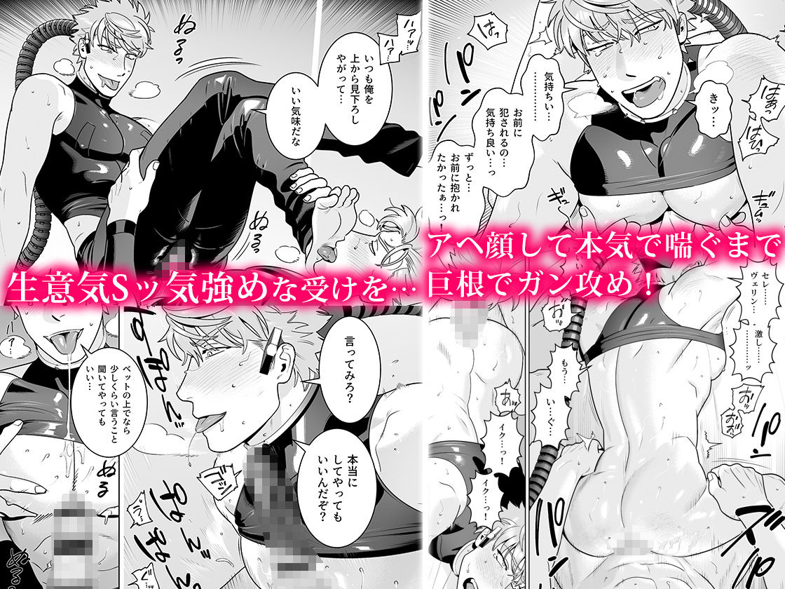 <CELEVERIN> R18版