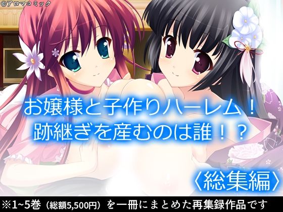 お嬢様と子作りハーレム！跡継ぎを産むのは誰！？ ＜総集編＞