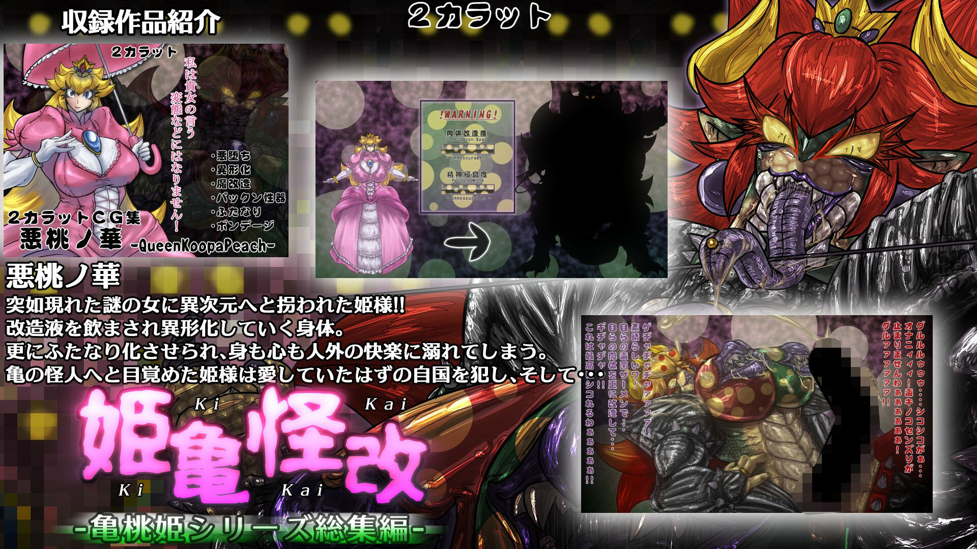 姫亀怪改 -亀桃姫シリーズ総集編-