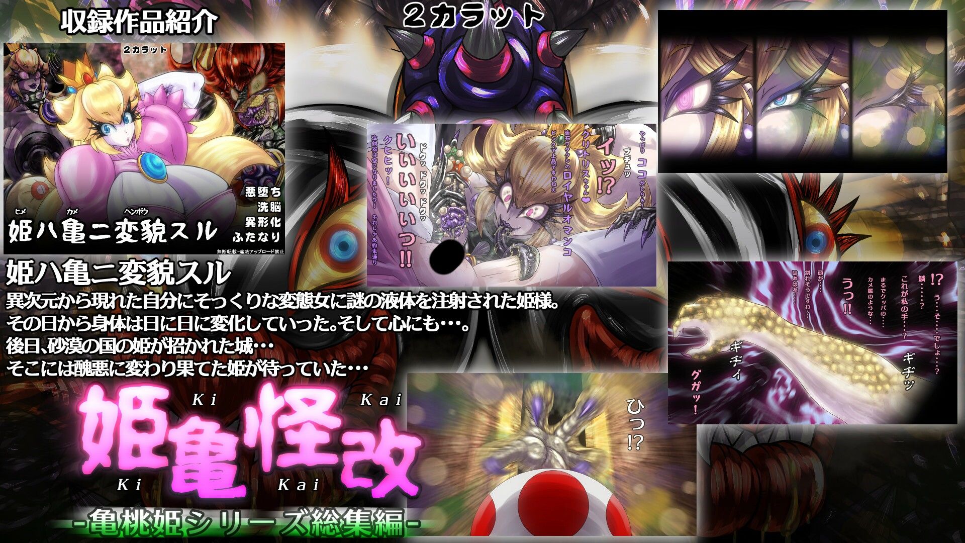 姫亀怪改 -亀桃姫シリーズ総集編-