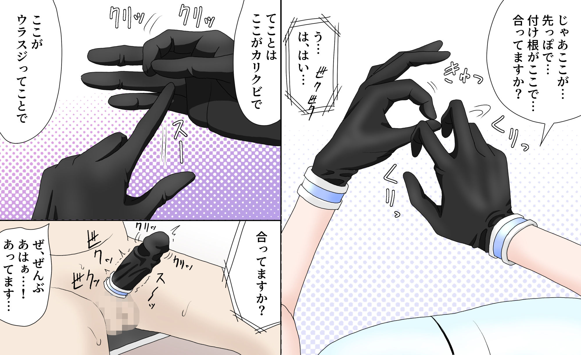 触覚共有遠隔自慰指南
