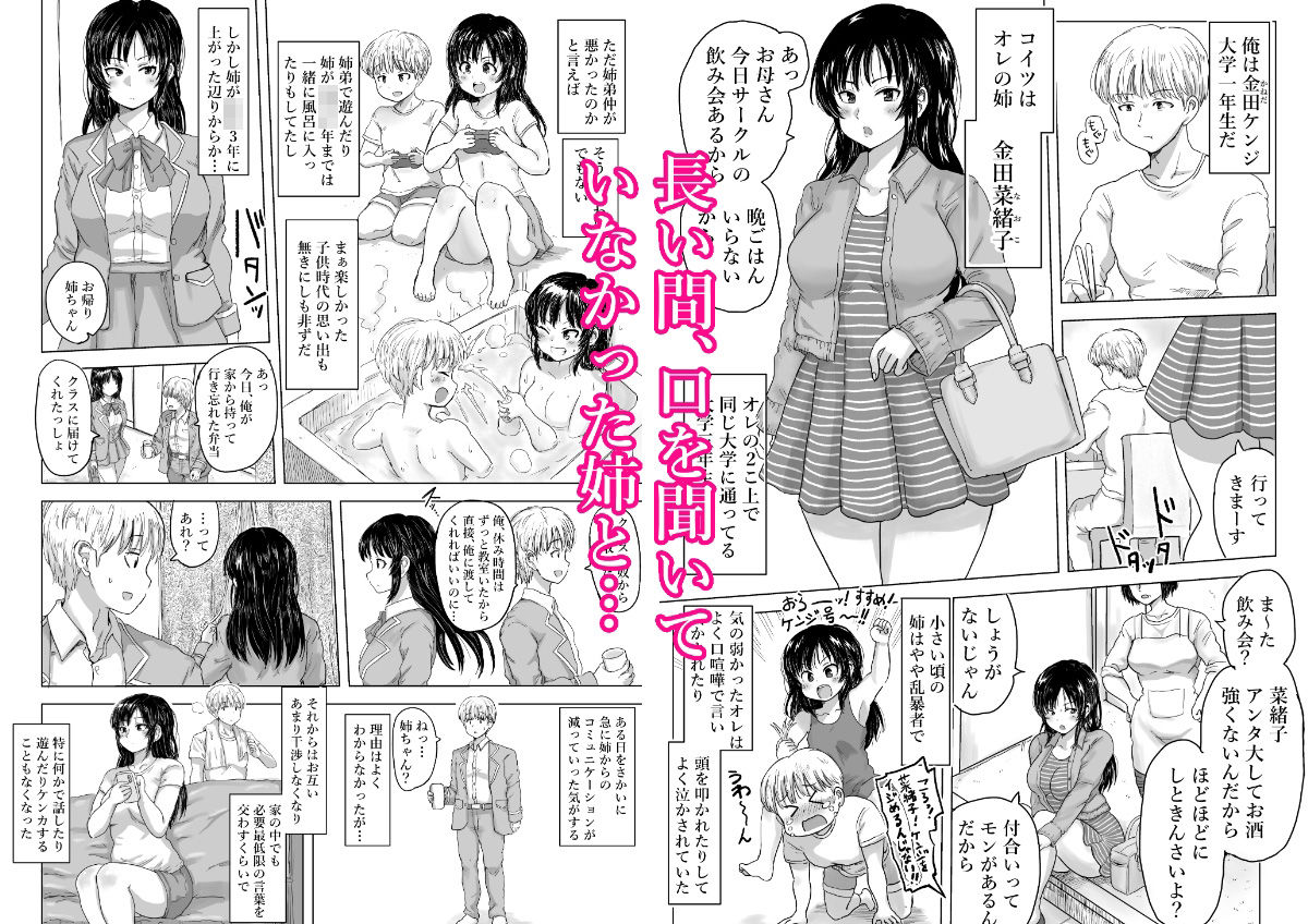 強気な姉が俺専用のオナホになった話