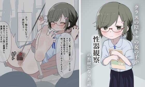 クラスの陰キャの女の子が性器観察の教材になった話