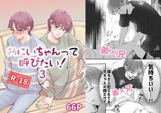 おにいちゃんって呼びたい！3