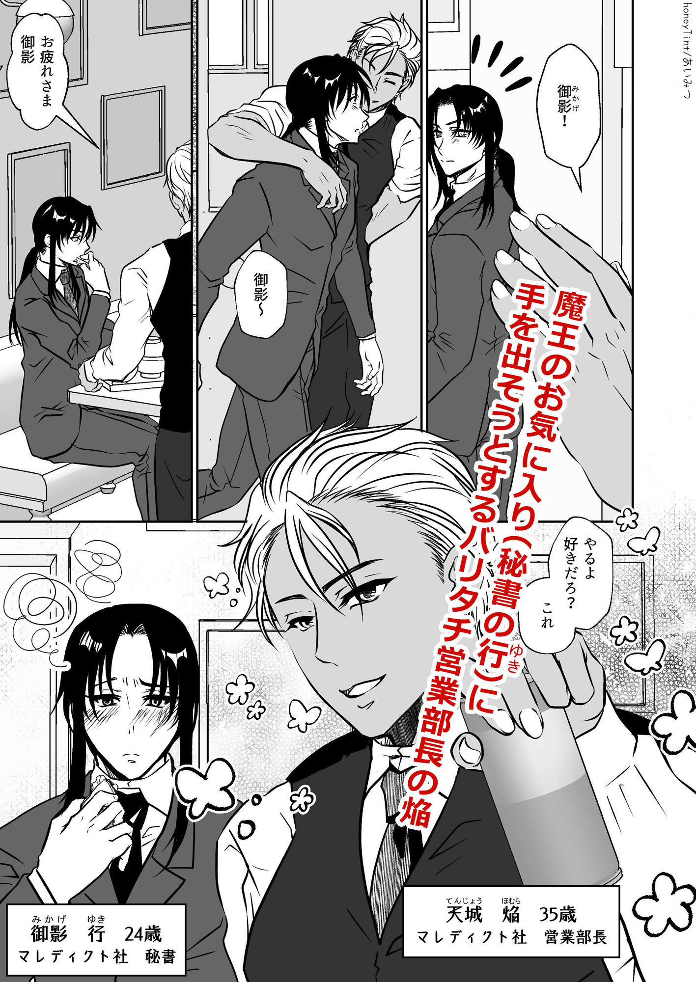 男色魔王のハーレム計画 第三話 ほむら