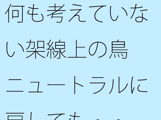 何も考えていない架線上の鳥 ニュートラルに戻しても・・
