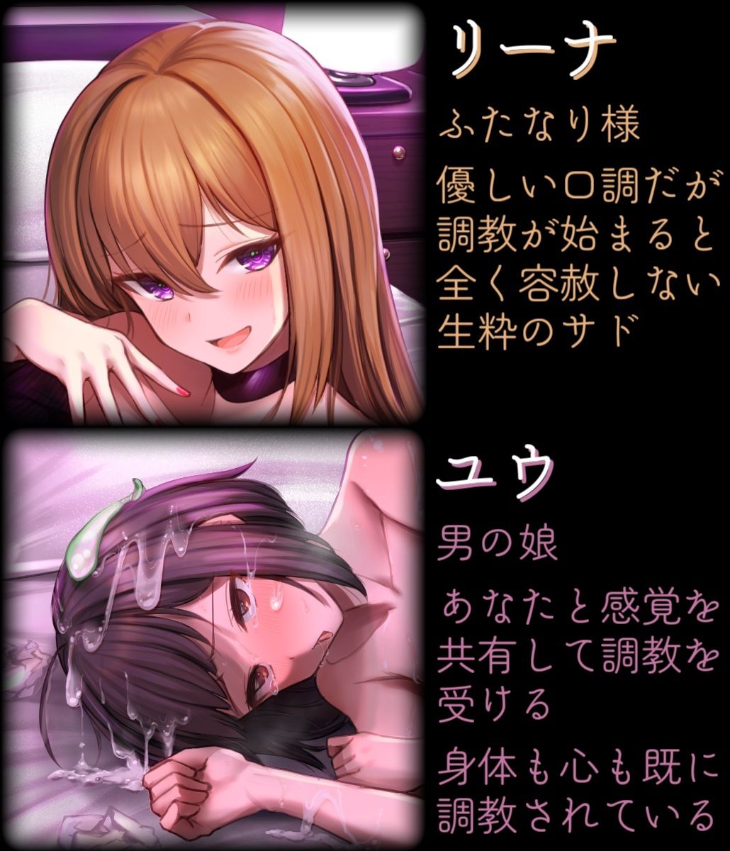 マゾメス前立腺完全敗北 ふたなりチンポで徹底調教される催●音声