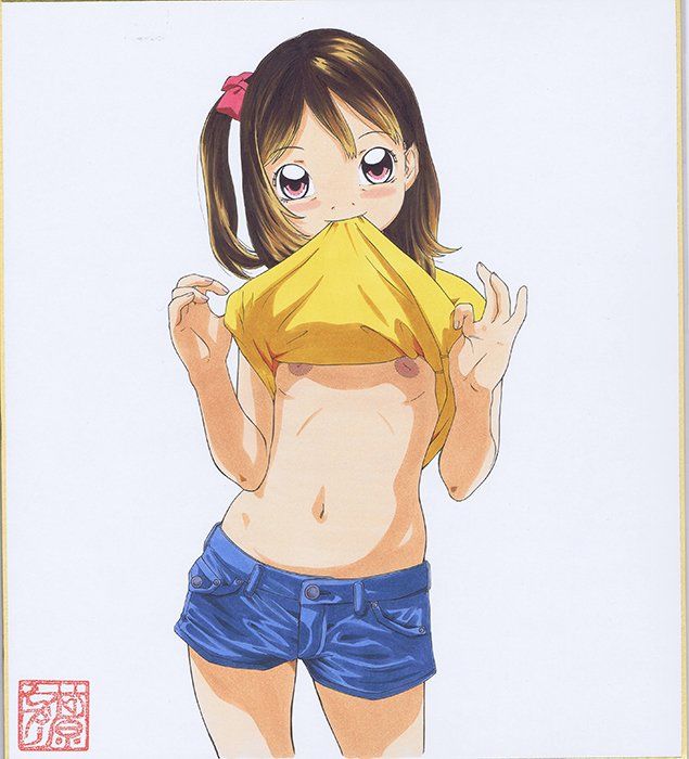色紙図鑑1
