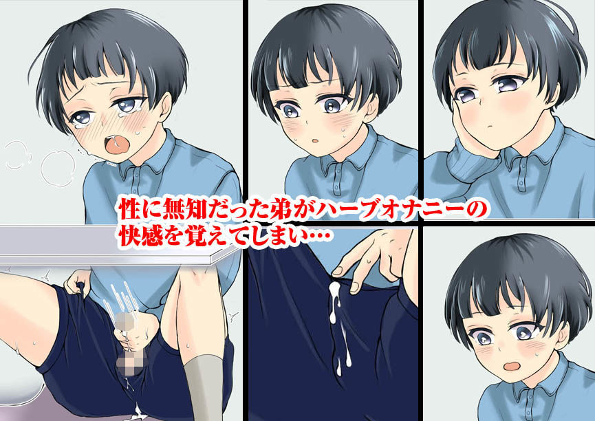 脱法ハーブでオナニーを覚えたばかりの弟が今では立派なケツマ○コ奴●!!