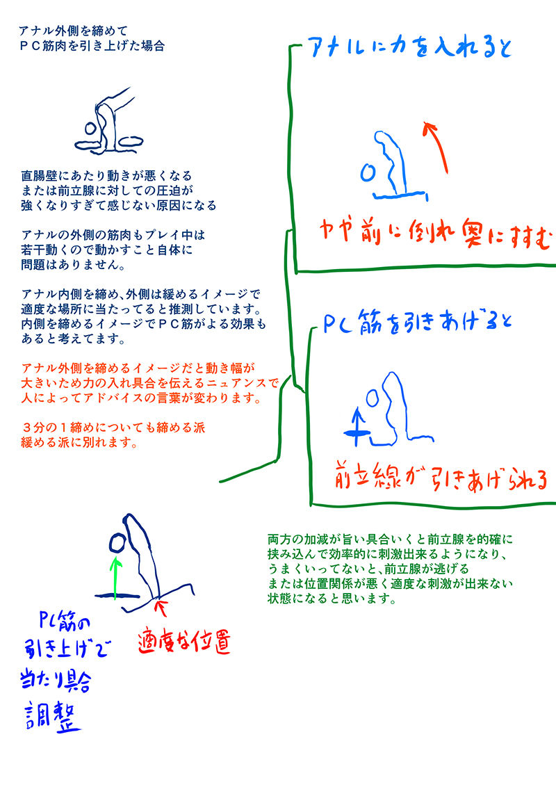 ドライオーガズム メスイキの教科書トライデント