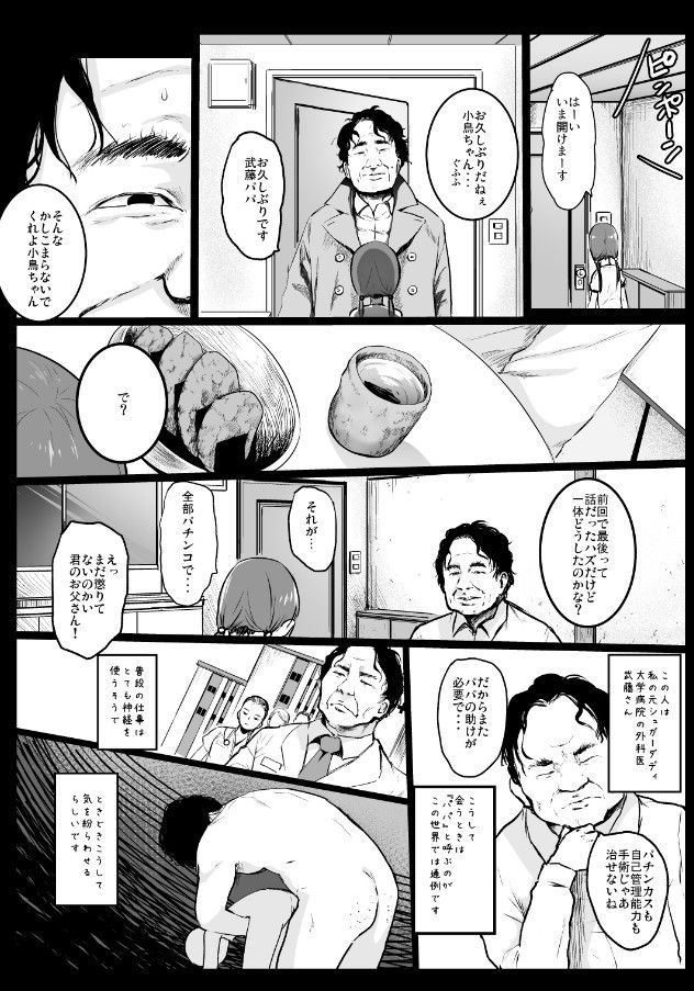 援交日誌〜小泉ことりの場合〜