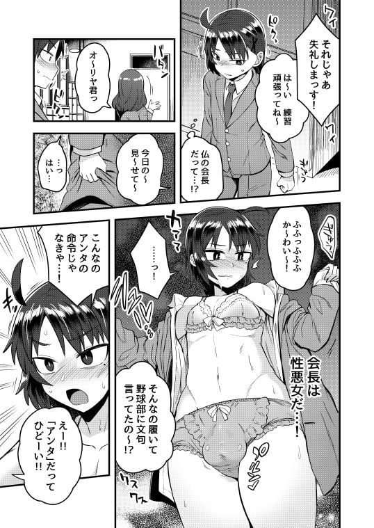 副会長が会長の彼女になるまで