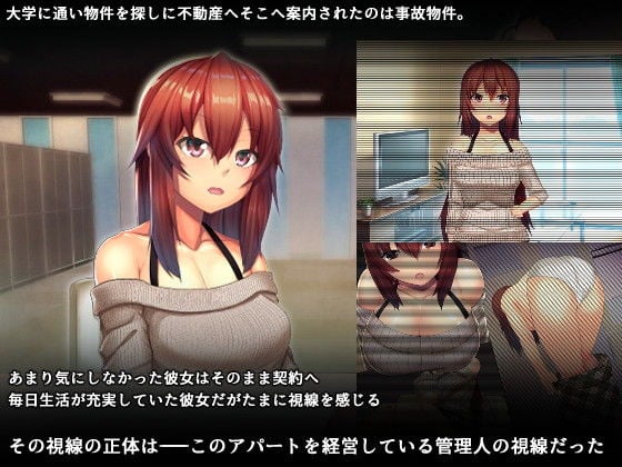 メス物件