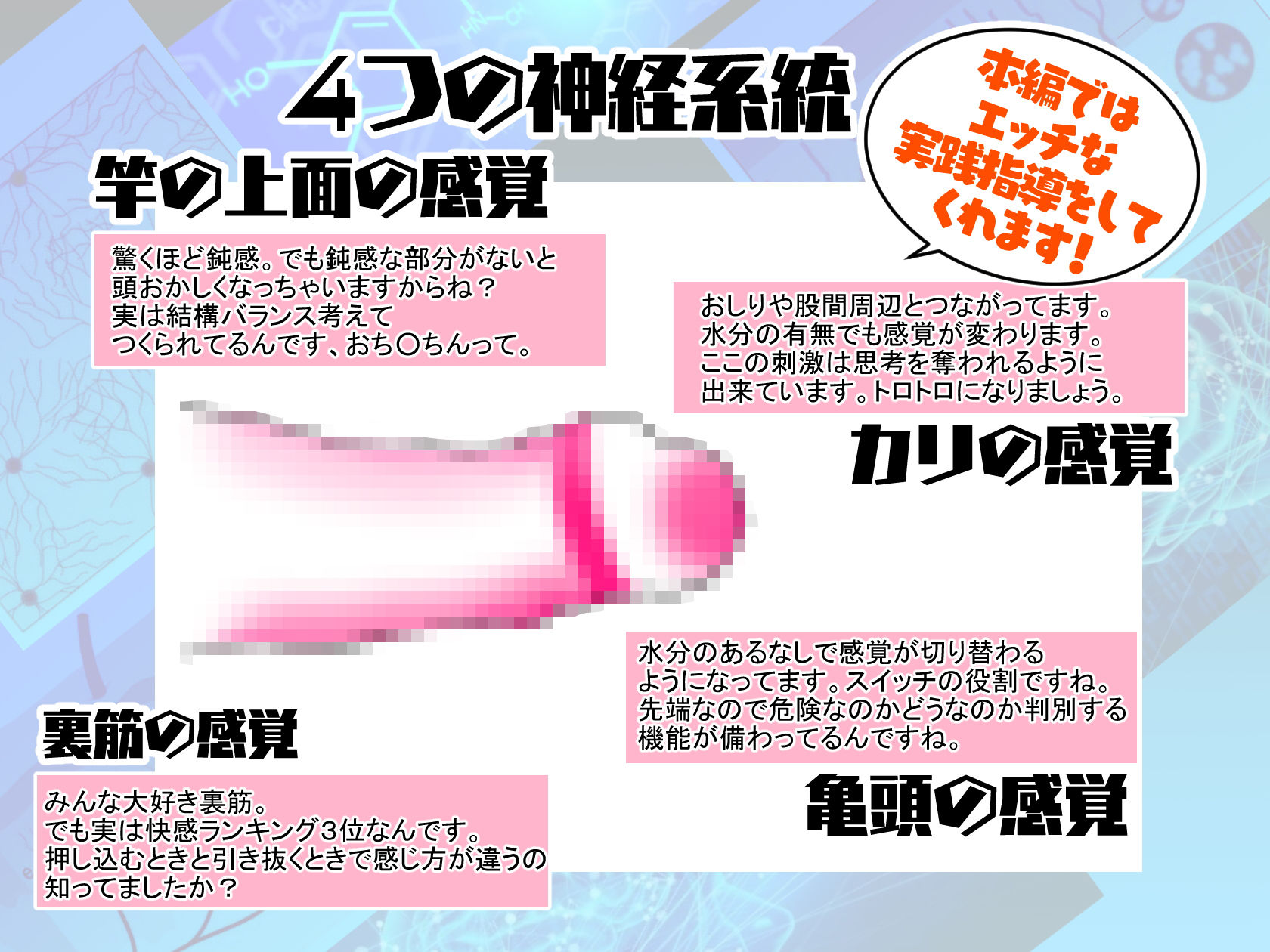 【徹底!快感解説型オナニーサポート】神経オナニー・メソッド