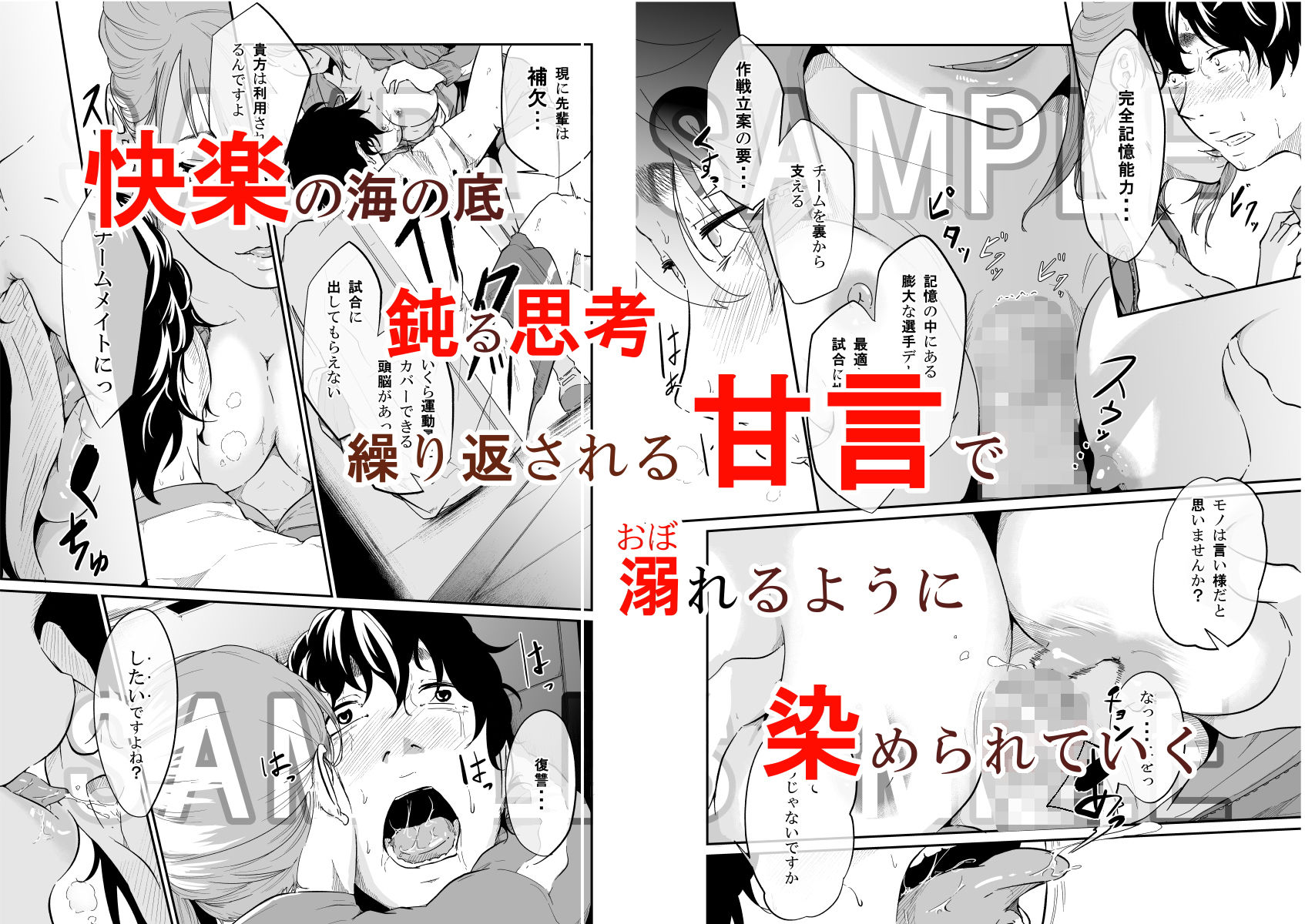 スパイマネジメント2(従順奴●の作り方)