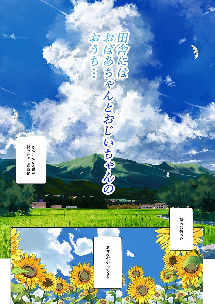 あねいと
