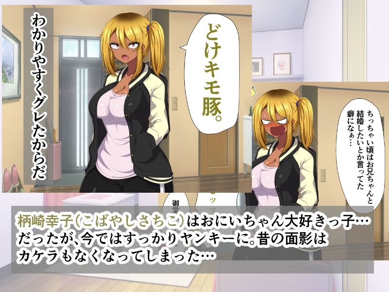 お兄ちゃんの事なんか全然好きじゃねーよバーカ!〜ヤンキーの妹がオレのパンツで〜