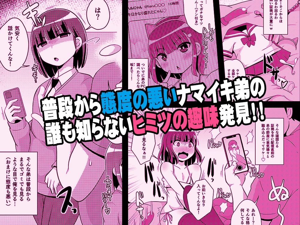 ナマイキ弟の精嚢をこねくり回してメス♂にする本